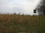 Roderveld